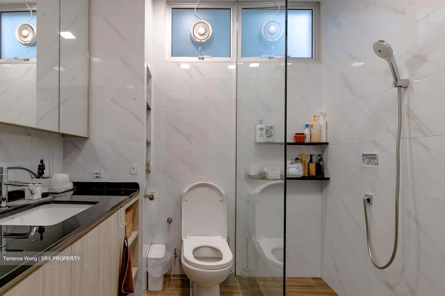 Clementi Park (D21), Condominium #635979211